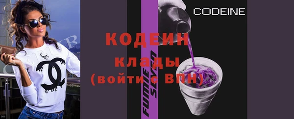 гашик Дмитриев