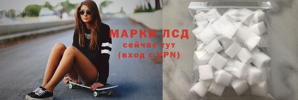 гашик Дмитриев