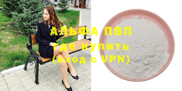 гашик Дмитриев