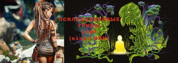амф Дмитровск