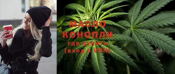 гашик Дмитриев