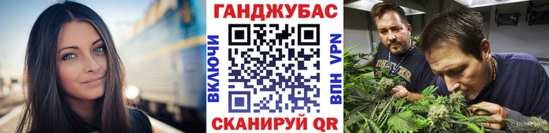 где найти   Димитровград  Марихуана планчик 